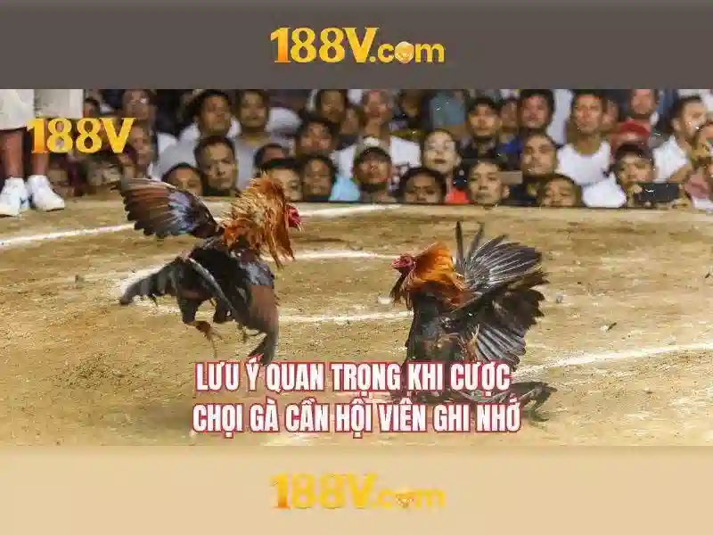 Giao diện nhà cái hoàn hảo