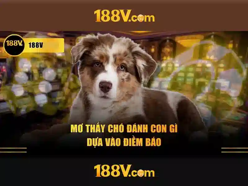 Giao diện nhà cái hoàn hảo