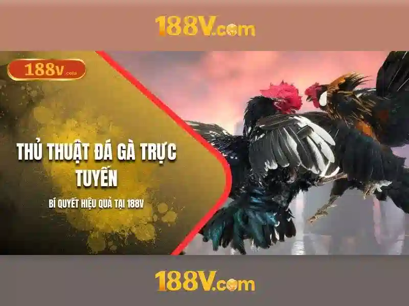 Giao diện nhà cái hoàn hảo