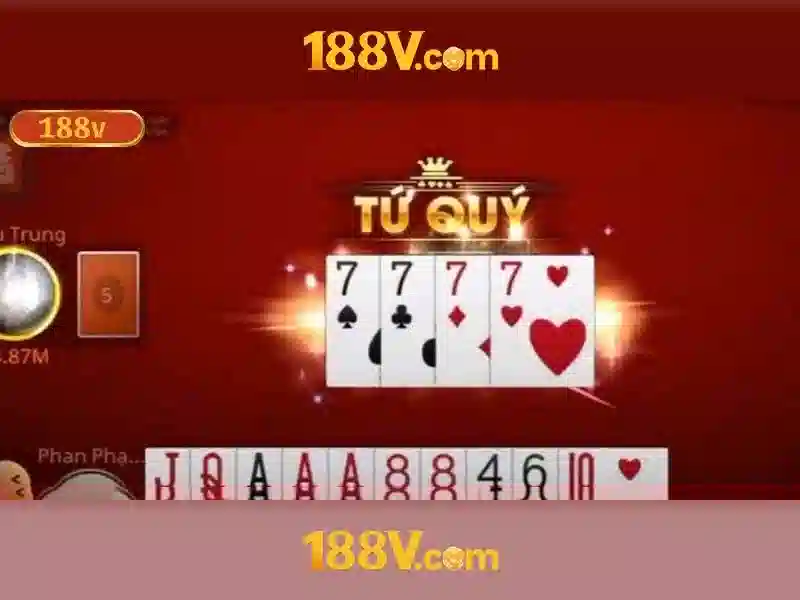 Phản hồi từ cộng đồng và trải nghiệm thực tế