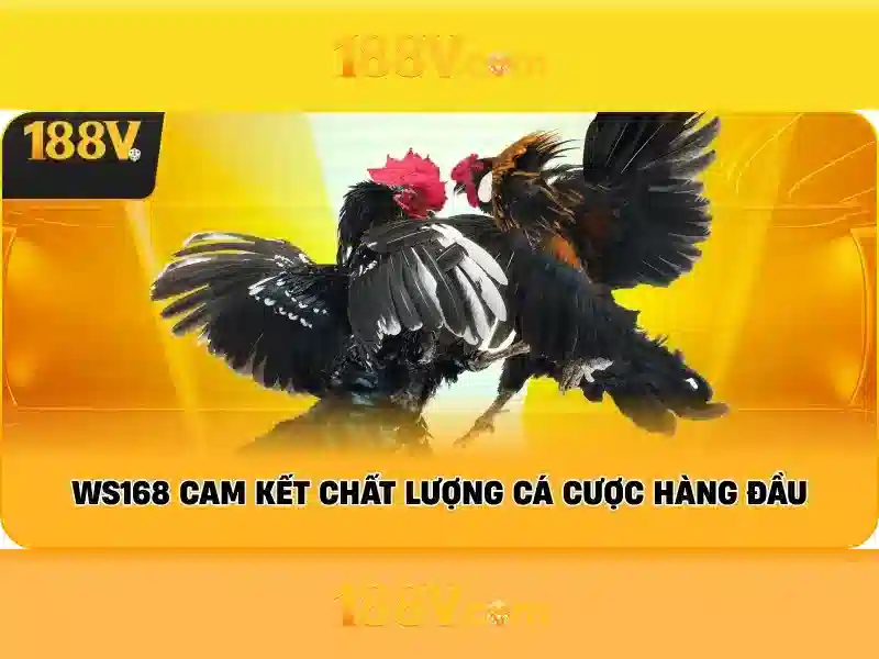 188v: một hành trình khám phá một con số đặc biệt