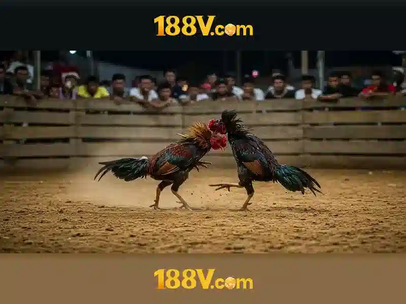 188v tải: Trải nghiệm và ứng dụng tối ưu Giao diện nhà cái hoàn hảo