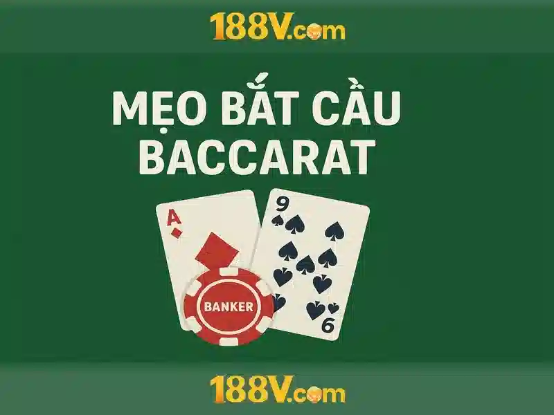 An toàn và biện pháp bảo hộ\n\n