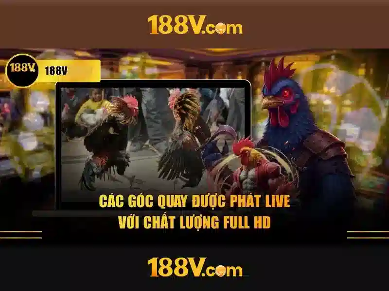 188v là gì?\n