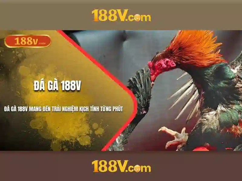Khám phá 188v: một khái niệm công nghệ hiện đại