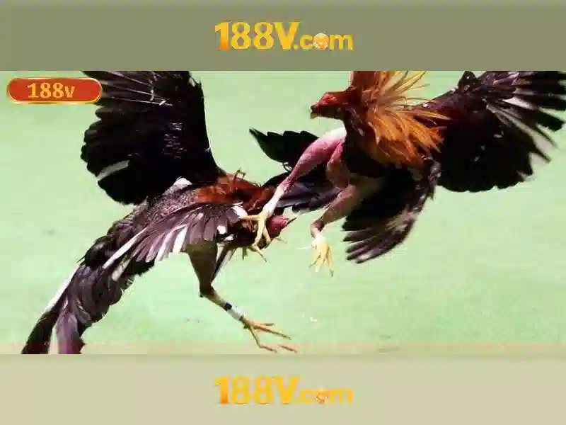 188V: Tổng quan về điện áp 188V và an toàn Giao diện nhà cái hoàn hảo