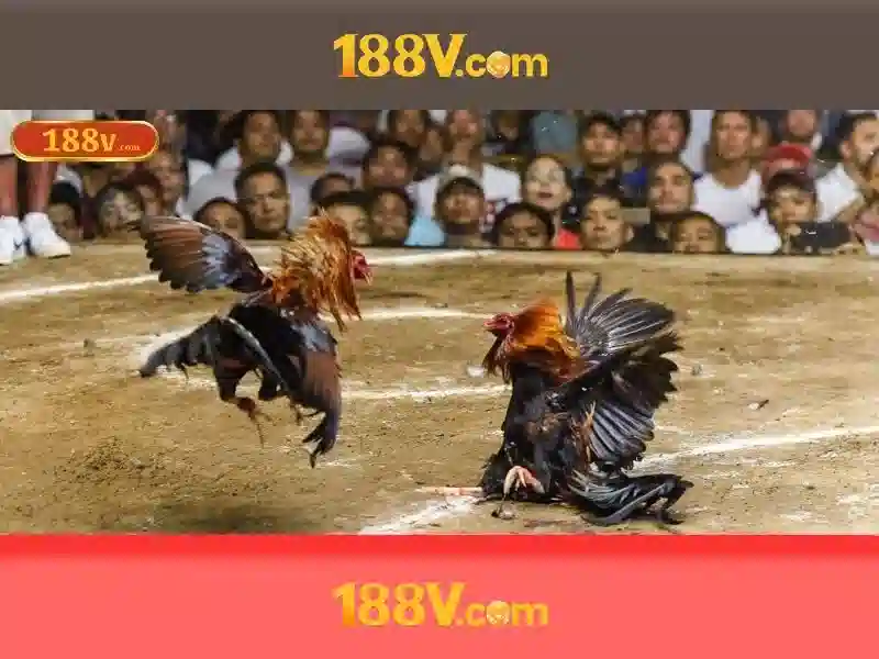 Hương vị từ trải nghiệm người xem