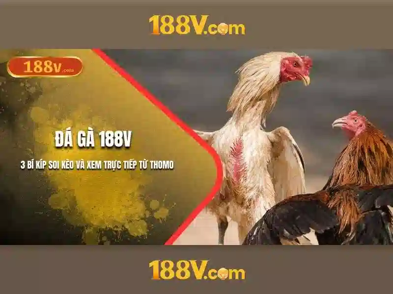 Khám phá 188v trong thế giới công nghệ 