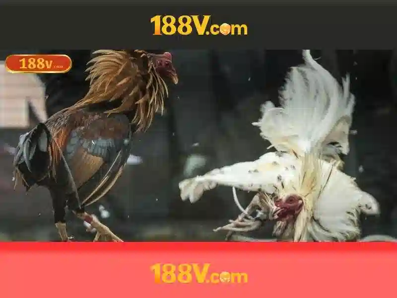 https://188vcom.it.com/images/text/188v/188v-text2603121670.webp Nguồn gốc của con số 188v\n\n