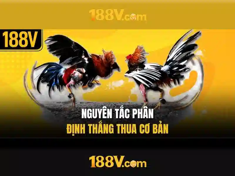Ý nghĩa và cách hiểu