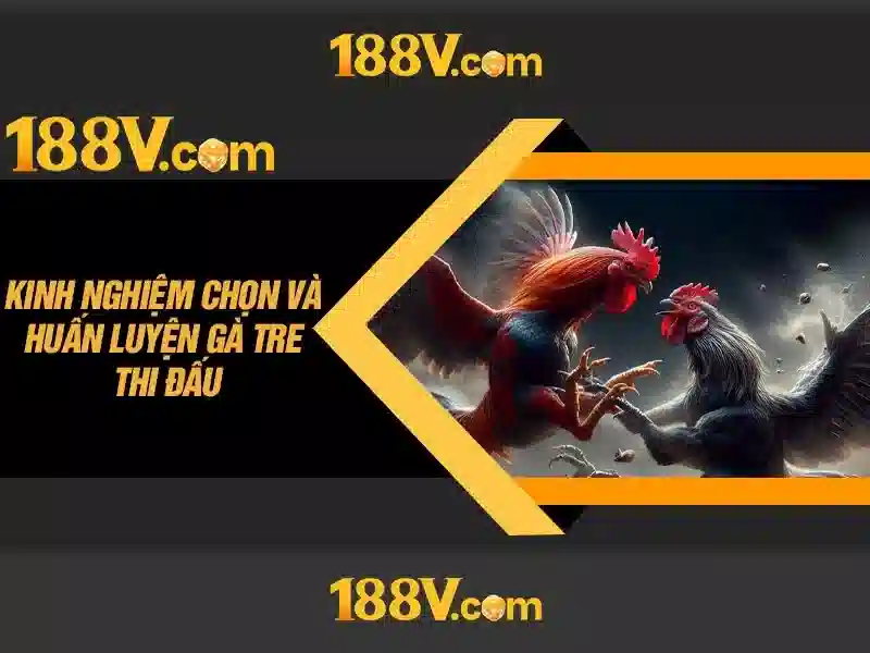 Khám phá 188V\n\n