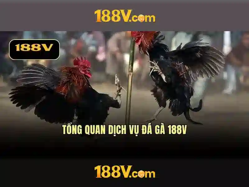 Nguồn gốc của 188v