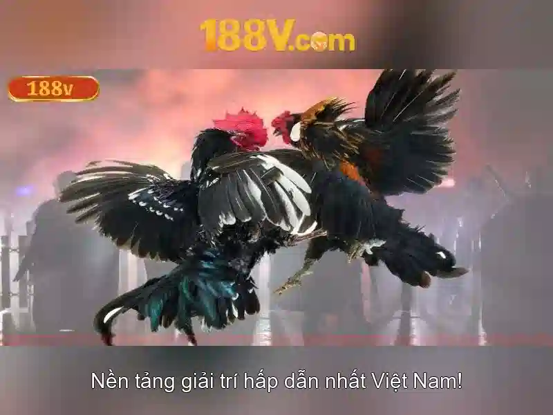 188v: ký hiệu của thời đại số Giao diện nhà cái hoàn hảo