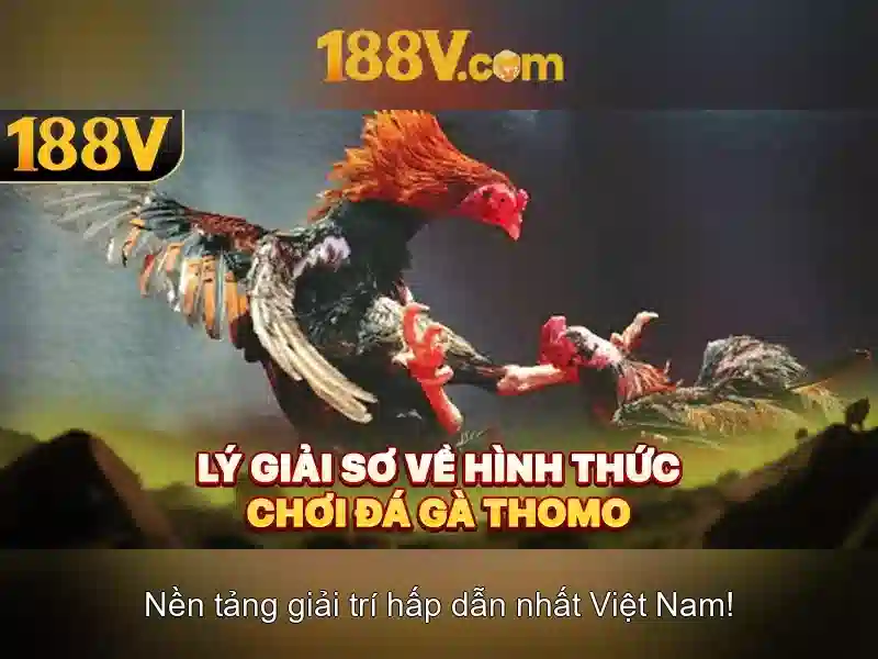 Khái niệm của 188v