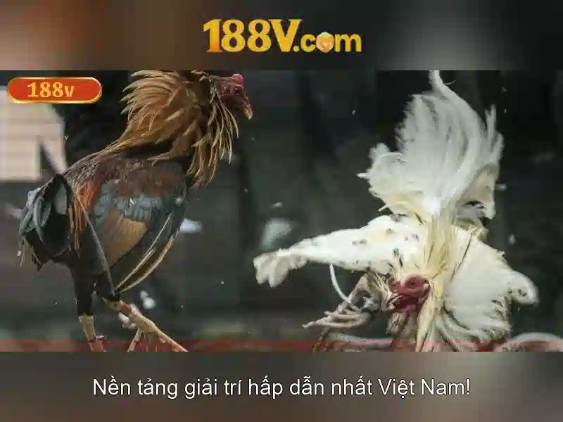 Nguon goc va su menh cua game 188v