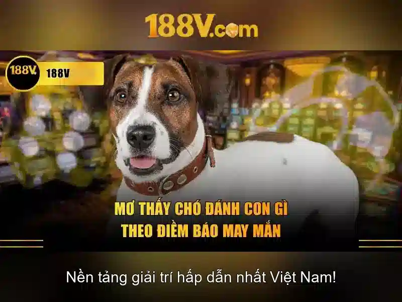 Khám phá 188V: điện áp, an toàn và ứng dụng