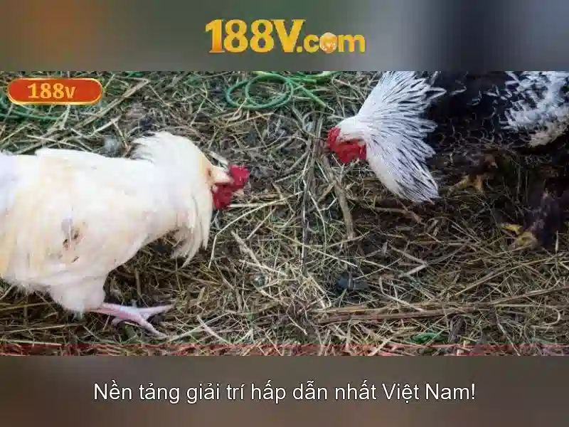 Nguồn gốc và tính chất của điện áp 188V