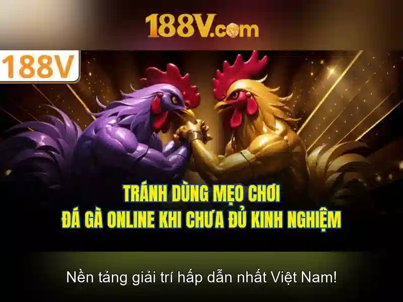 Giao diện nhà cái hoàn hảo
