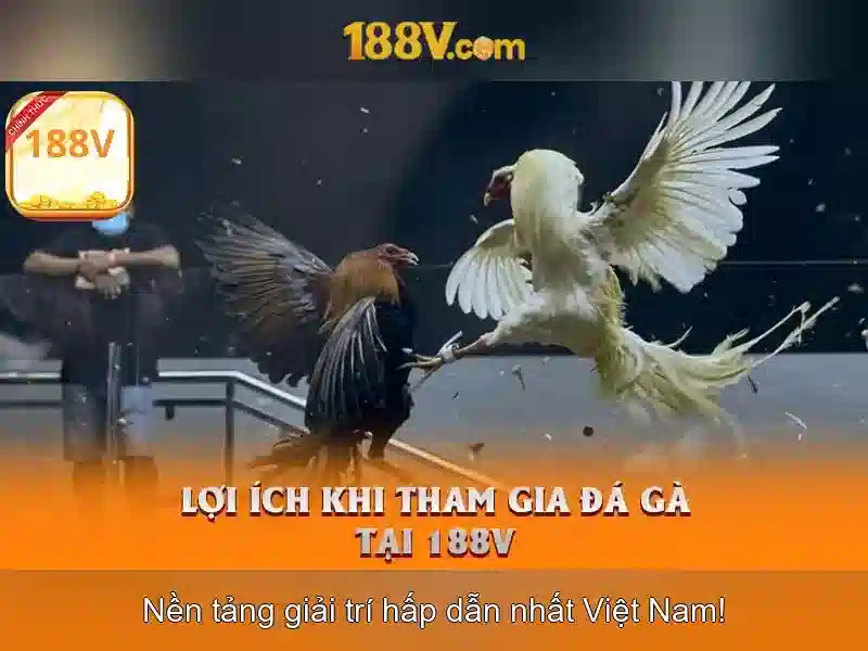 Giao diện nhà cái hoàn hảo