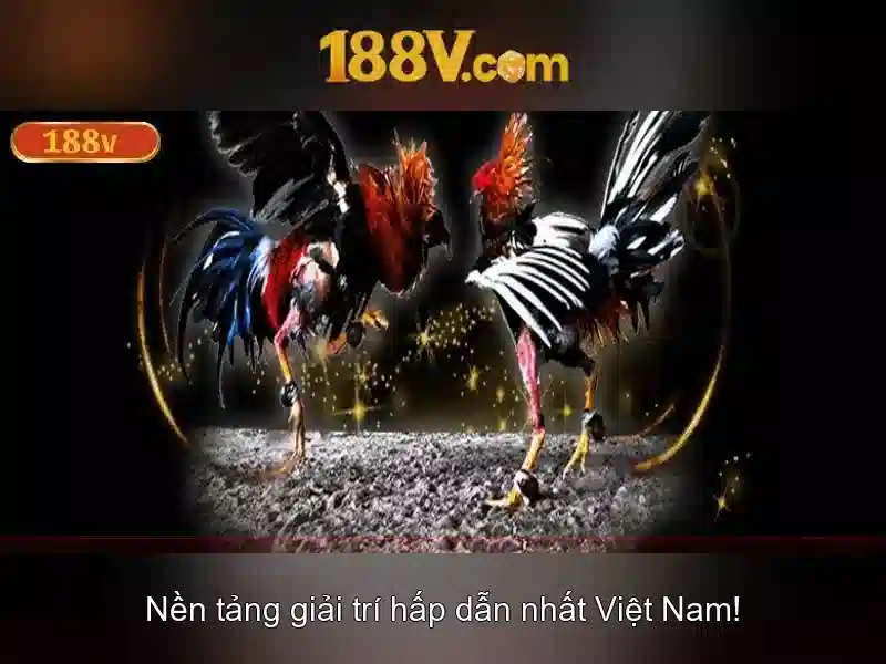 Giao diện nhà cái hoàn hảo