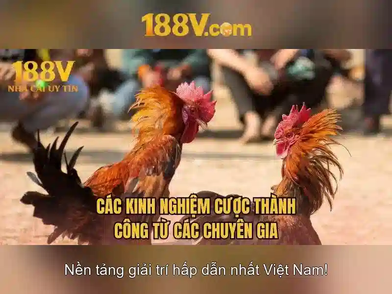 188V và hành trình khám phá một khái niệm