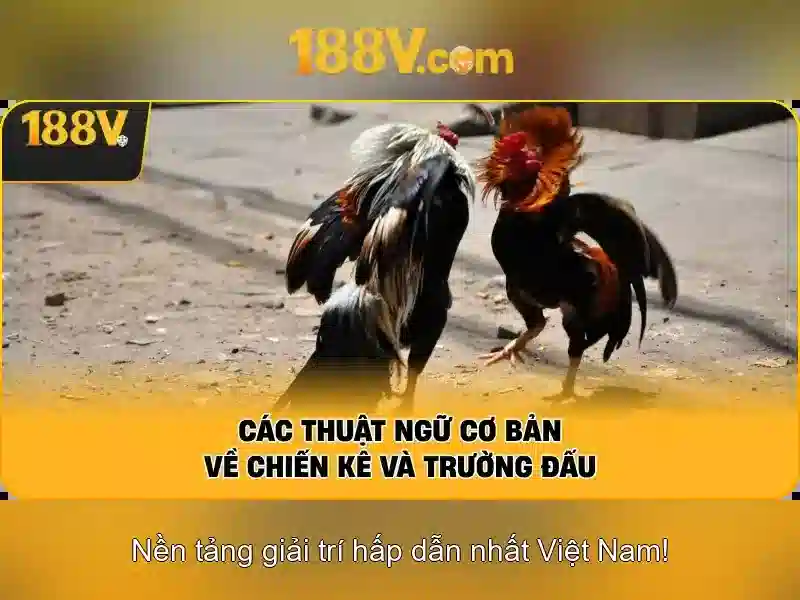 Khởi nguồn và sứ mệnh của code 188v