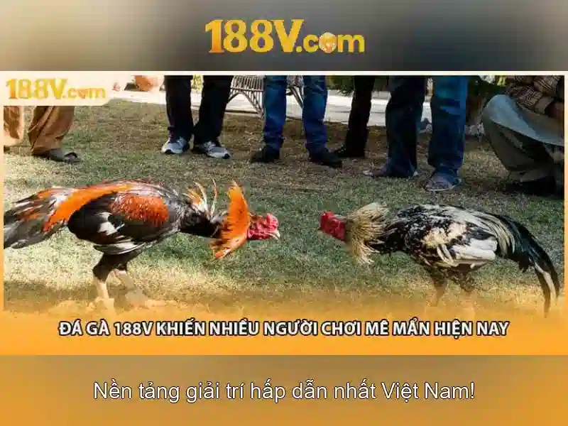 188v: nguồn năng lượng huyền bí