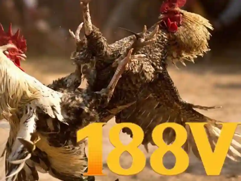 <!--IMG_PLACEHOLDER alt>Nguồn gốc và sứ mệnh của 188v chính thức-->