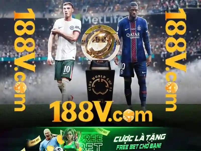 Trải nghiệm người dùng và phản hồi cộng đồng